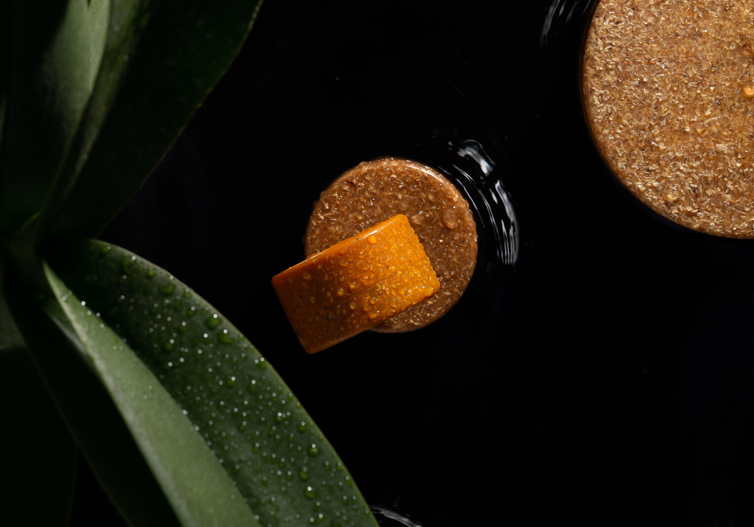 Fine art product photo of a cosmetic jar floating on a river with green plants and drops of water.